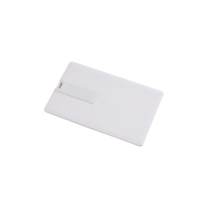 Chiavetta USB 4Gb, a forma di tessera in plastica . Possibilità di import